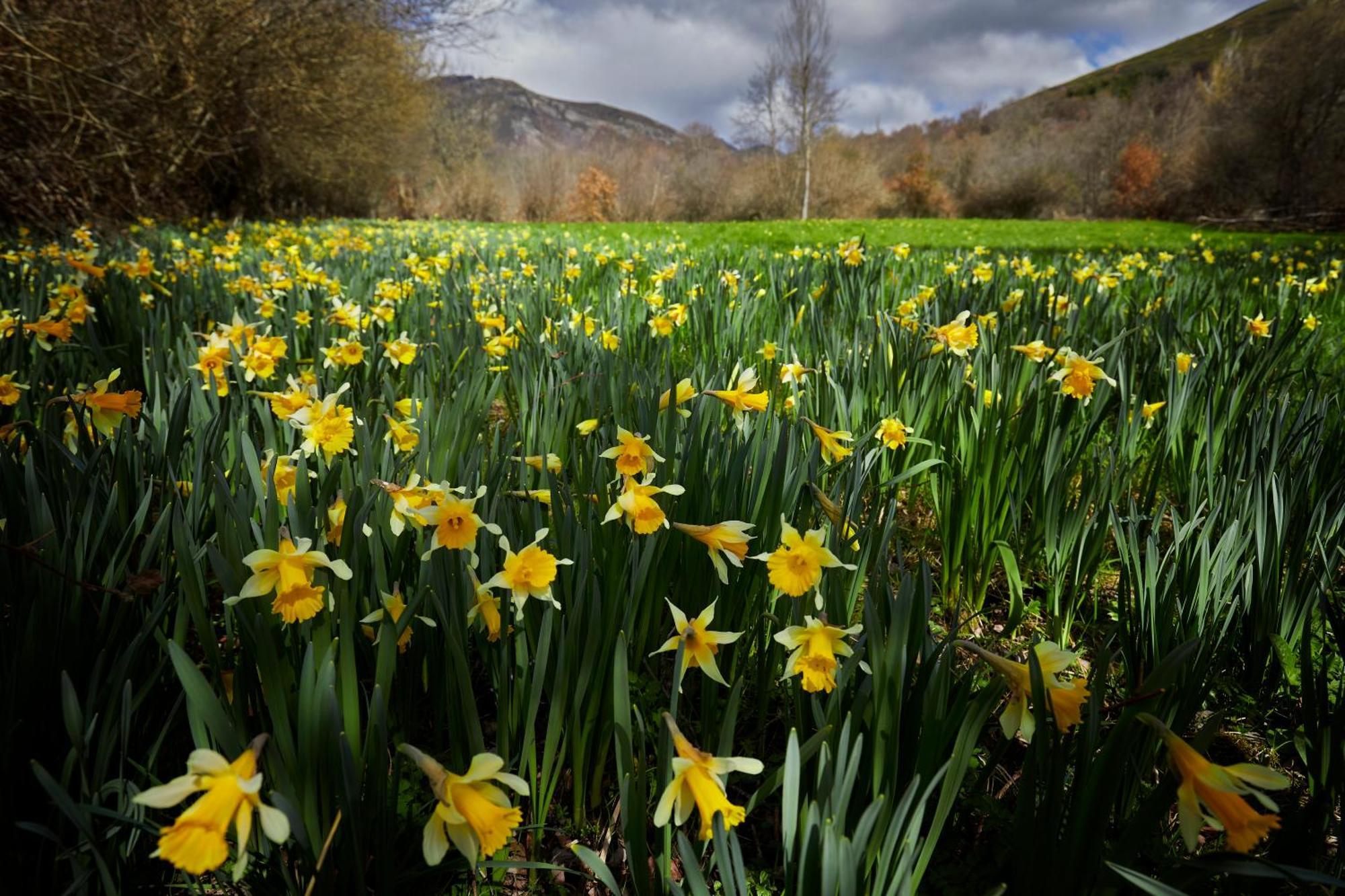 Casa Turismo Rural O Filandon Suertes Bagian luar foto